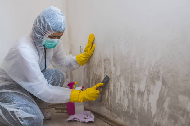 Best Crawl Space Mold Removal  in Winton, CA