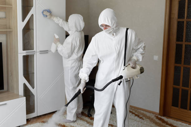 Mold Removal Process in Winton, CA