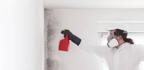 Best Residential Mold Removal  in Winton, CA